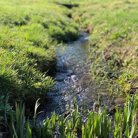 Embarcadere 56 Chiny