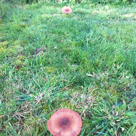 Embarcadere 56 Vakantiehuis