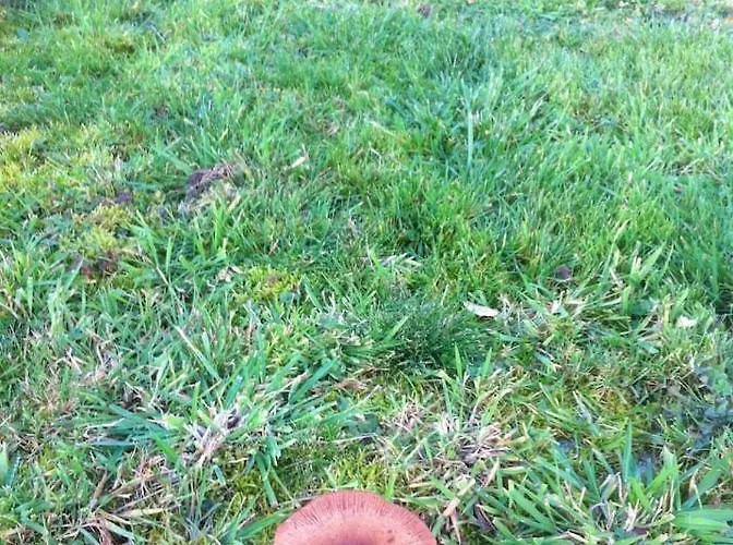 Embarcadere 56 Tatil Evi